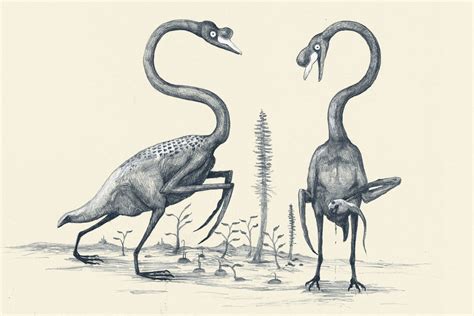 If We Drew Modern Animals The Way We Draw Dinosaurs, Based On Bones Alone