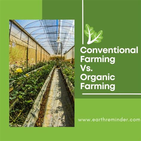 Organic Farming Vs. Conventional Farming - Difference | Earth Reminder