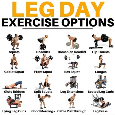 Leg Day Options | Leg workouts gym, Best leg workout, Gym workouts for men