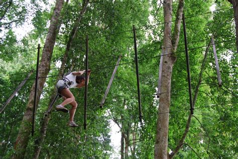 Bali Treetop Adventure – My Adventure Abroad