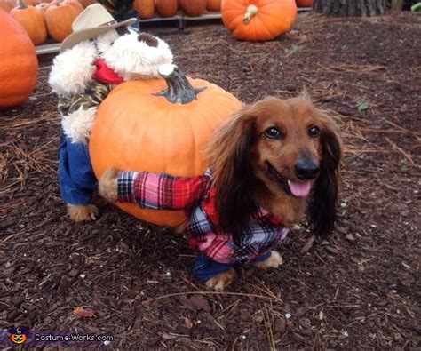 The Great Pumpkin Harvest - Costume for Dogs