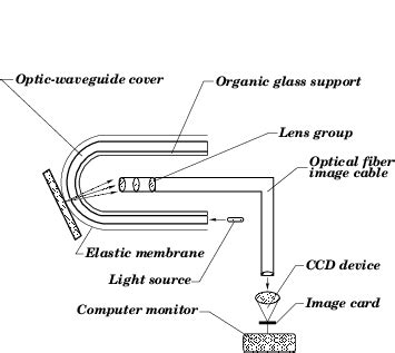 Principle sketch of the tactile sensor. | Download Scientific Diagram