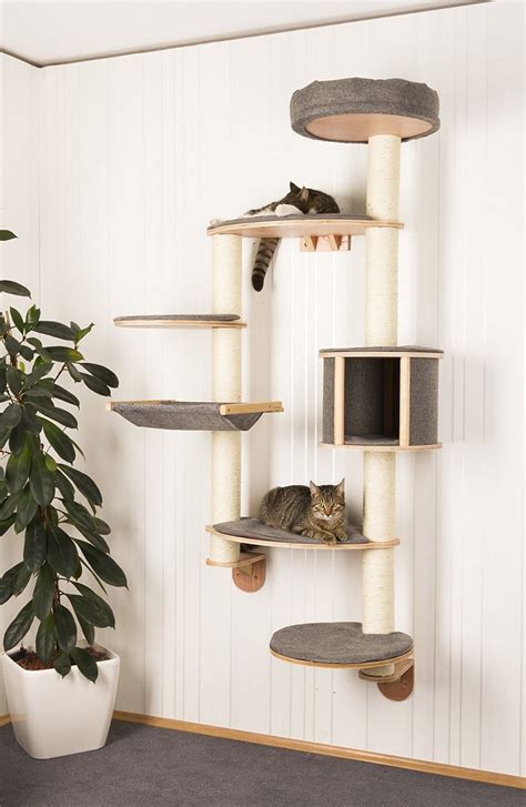 Wall-Mounted Cat Tree Dolomit XL Tofana | LOWEST PRICES GUARANTEED ...