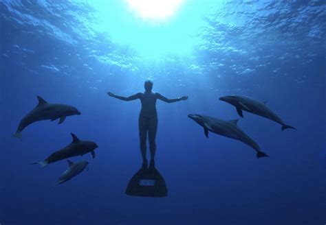 7 of the best ocean documentaries to watch on World Oceans Day