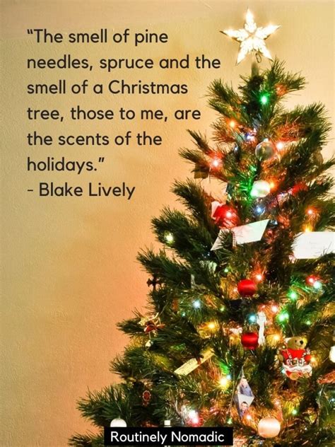 100 Festive Christmas Tree Quotes for 2023 | Routinely Nomadic