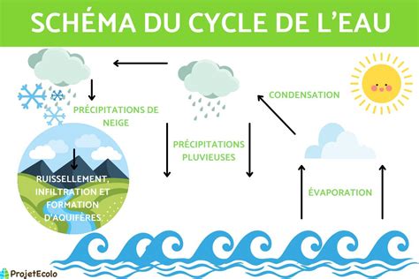 Le CYCLE de L'EAU pour CE2 en PRIMAIRE - Schéma et étapes