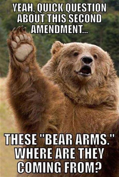 beary funny | Funny animal memes, Funny bears