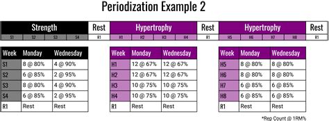 Sarcoplasmic Hypertrophy Workout Plan | EOUA Blog