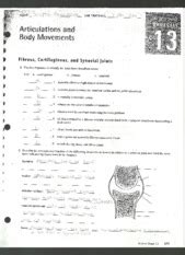 Articulations And Body Movements Review Sheet Answers 81+ Pages Answer [1.1mb] - Updated - Nora ...