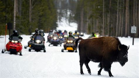 15 Years Of Wrangling Over Yellowstone Snowmobiles Ends : NPR