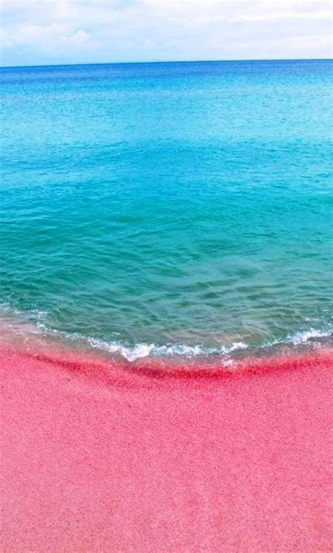 Pink Sands Beach in Harbour Island, the Bahamas | Pink sand beach, Pink ...