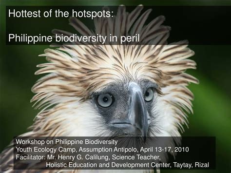 PPT - Hottest of the hotspots: Philippine biodiversity in peril PowerPoint Presentation - ID:9256444