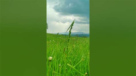 Transylvanian Hilltop Magic: A Breathtaking View of Villages and Vanishing Mountains # ...