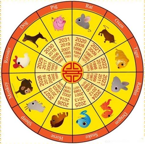 chinese new year 2019 pig animal | Chinese calendar, Zodiac calendar ...