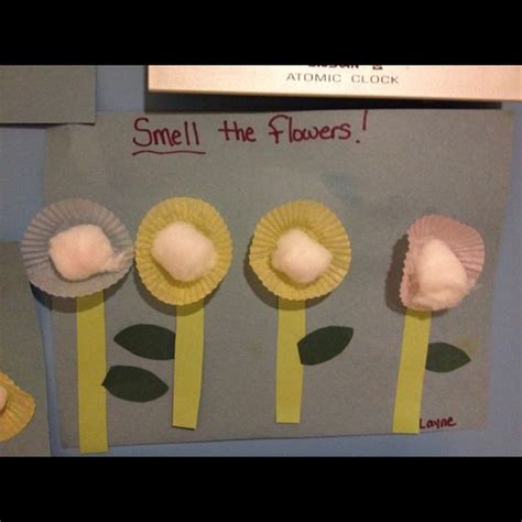 5 senses week .. Sense of smell... Spray cotton balls with different scents ( perfume works ...