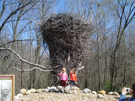 world's biggest Eagle's nest, really, in Ohio! | tom powell | Flickr