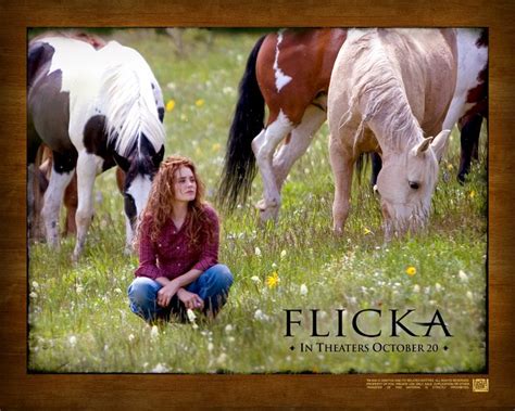 Watch Streaming HD Flicka, starring Alison Lohman, Tim McGraw, Maria ...