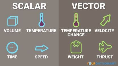 Examples of Vector and Scalar Quantity in Physics | YourDictionary