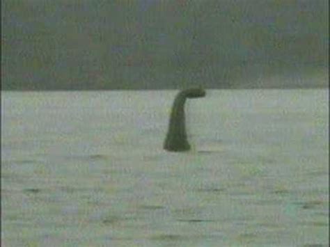 Re: Nessie caught on tape - YouTube