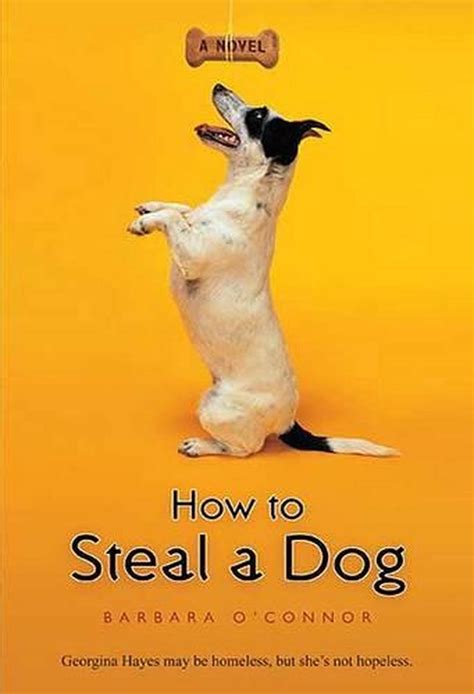 How to Steal a Dog: A Novel by Barbara O'Connor (English) Paperback Book Free Sh 9780312561123 ...