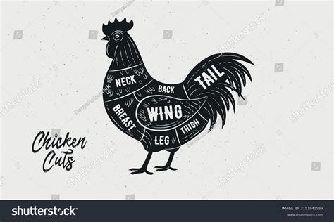 Cuts Chicken Butcher Diagram Scheme Chart Stock Vector (Royalty Free ...