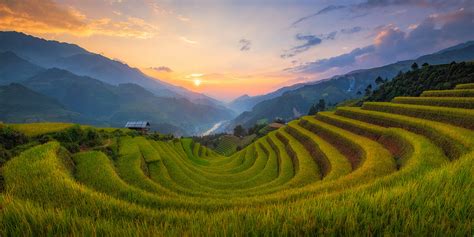 Vietnam Terraced Rice Paddies On Top Surreal Landscapes - Vietnam Travel Online