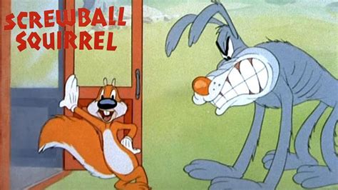 Screwball Squirrel 1944 MGM Screwy Squirrel Cartoon Short Film | Review - YouTube