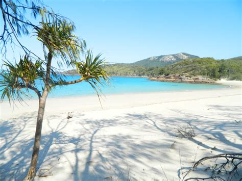 Camping on the Whitsundays, Australia/Camper sur une île australienne