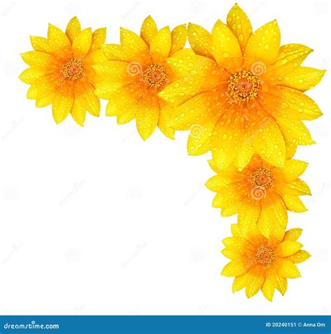 Yellow Flower Design Border