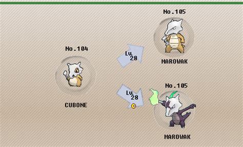 Marowak Evolution Chart