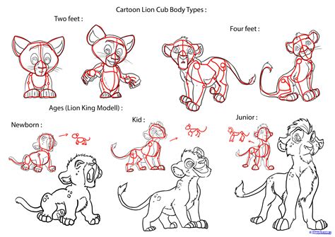 draw a lion cub step - Clip Art Library