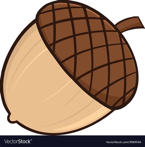 Cartoon acorn Royalty Free Vector Image - VectorStock | Acorn, Fall clip art, Paper flower patterns