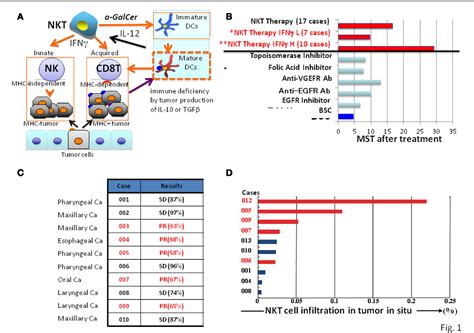 Figure 1 from NKT Cells as an Ideal Anti-Tumor Immunotherapeutic | Semantic Scholar