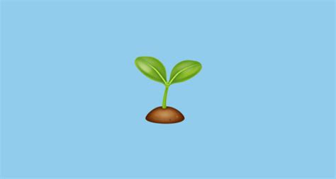 🌱 Seedling Emoji on WhatsApp 2.23.2.72