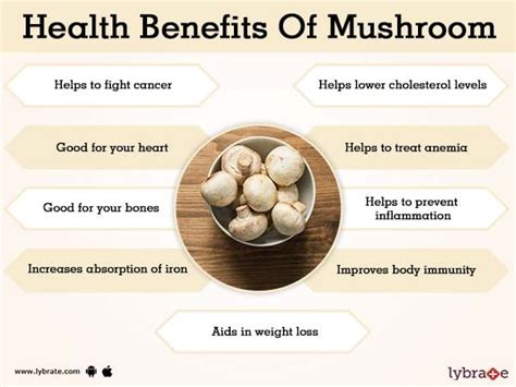 Benefits of Mushroom And Its Side Effects | Lybrate