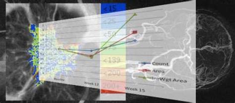 Research Programs - Radiology | UCLA Health