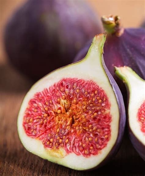 FOOD HISTORY: Fruit of fig in ancient history