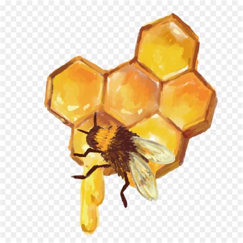 The best free Honeycomb vector images. Download from 159 free vectors of Honeycomb at GetDrawings