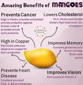 Benefits of Mangoes | ENCYCLOPEDIA OF FOOD FOR HEALTH AND WELL-BEING