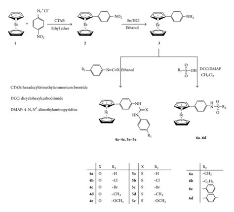 Synthesis of ferrocene derivatives carrying urea, thiourea and ...