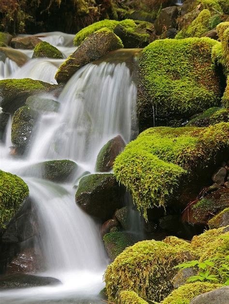 Waterfall, Hoh rain forest, Olympic peninsula | Waterfall, National ...