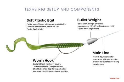 Texas Rig: Setup and Fishing Techniques