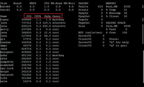 Skill Set Enhancer on WebSphere and Unix: How to find CPU utlization on AIX and Linux