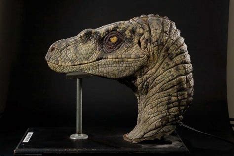 10 Best images about velociraptor on Pinterest | Jurassic world, Back ...