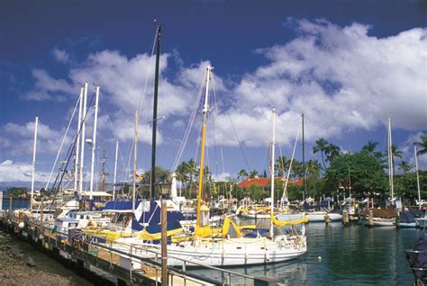 Maui's Lahaina Harbor | Lahaina maui, Places to travel, Hawaii style