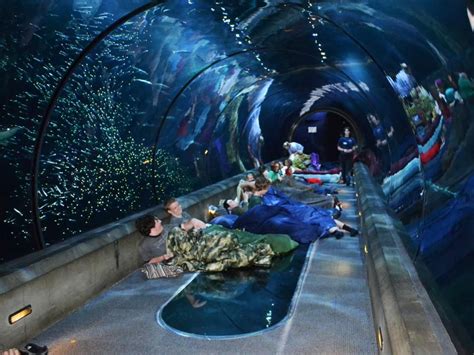 19 Must-See Aquariums to Visit | Underwater hotel, Vacation trips, Oregon coast