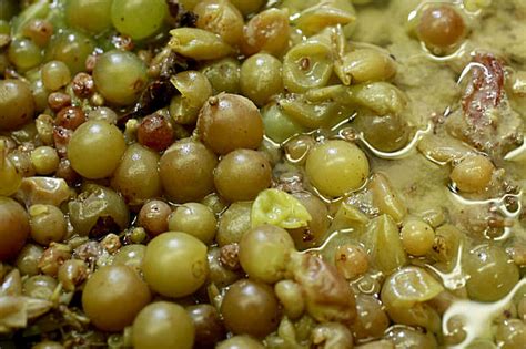 Soaking white grapes in skins is orange crush