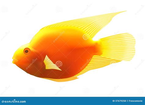 Yellow fish. stock vector. Illustration of natural, tropic - 37679258