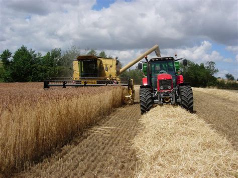 Notre ferme - ferme bio Bienvenue, vente de viandes de vaches et volailles bio. Les Herbiers en ...