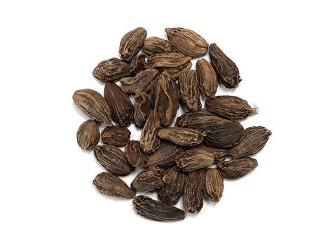 Cardamom Pods | Shadow and Soul Emporium